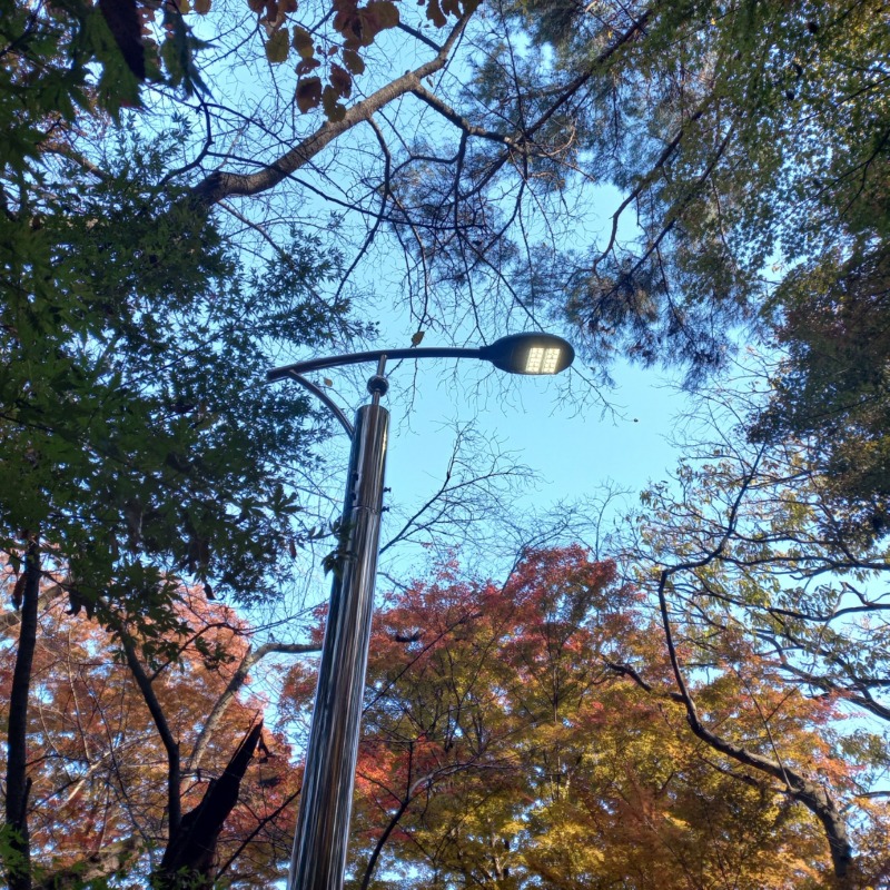 이지산업|세OOO공원 노후 공원등 교체공사